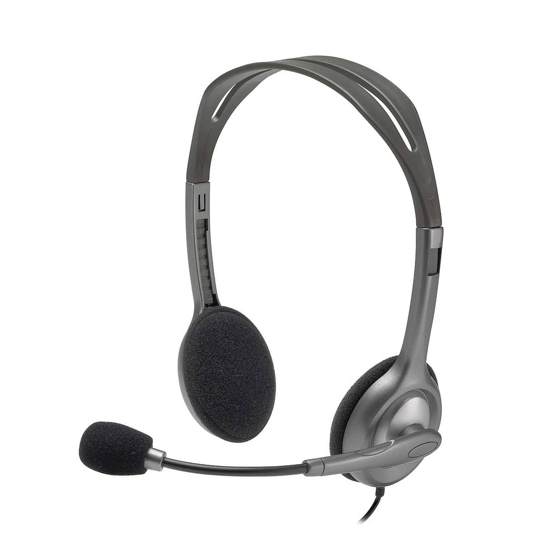 Logitech H110 Headphone with Mic